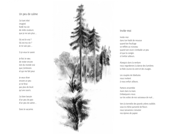 ouette bête - V. Guyot et X. Dole – Image 3